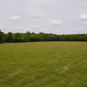 2822 Little River Church- 40 acres