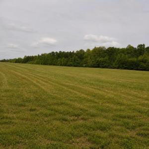 2822 Little River Church- 40 acres