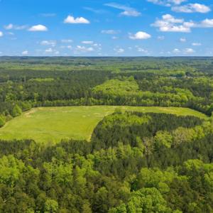 40 Acres-2822 Little River