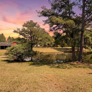 Barn & Pond