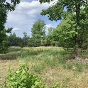 Photo #7 of 4628 Rogers, Wake Forest, NC 0.9 acres