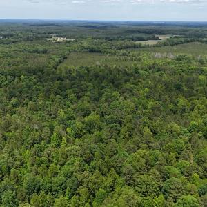 dji_fly_20260601_144312_0031_17803396384