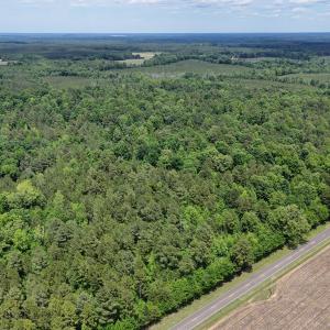 dji_fly_20260601_144238_0028_17803396395