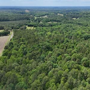 dji_fly_20260601_144140_0027_17803396398