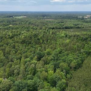 dji_fly_20260601_144116_0026_17803396401