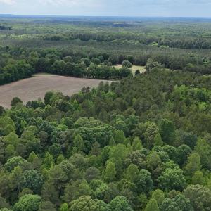dji_fly_20260601_143954_0023_17803396425