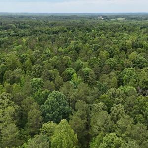dji_fly_20260601_143838_0020_17803396416