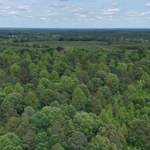dji_fly_20260601_143820_0018_17803396422