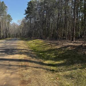 Photo #9 of 120 Anfield, New Hill, NC 2.2 acres