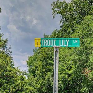 42-042-477JayShambleyRd-Parcel-11246-202