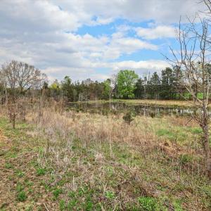 099-098-RidgevilleRd-Land-20260401