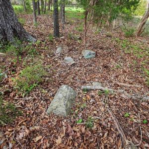 113-112-RidgevilleRd-Land-20260401