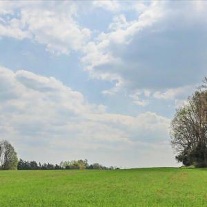 037-036-RidgevilleRd-Land-20260401