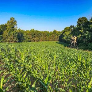 127-203-RidgevilleRd-Land-fromOwner-2026