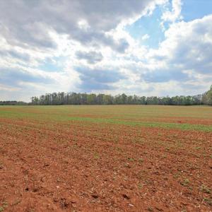 092-091-RidgevilleRd-Land-20260401