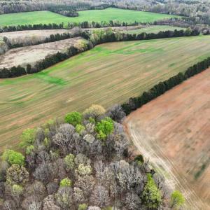 104-103-RidgevilleRd-Land-20260401