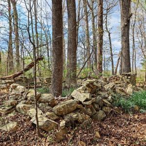 107-106-RidgevilleRd-Land-20260401