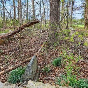 111-110-RidgevilleRd-Land-20260401