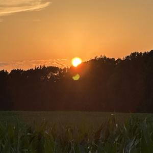 IMG_6364 (1)
