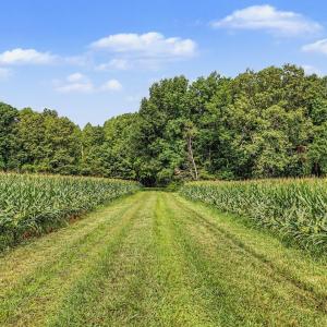 029-RidgevilleRd-HickoryLevelFarm-Revisi