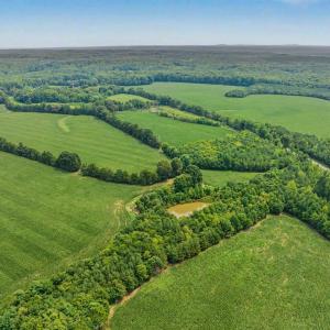 057-RidgevilleRd-HickoryLevelFarm-Revisi