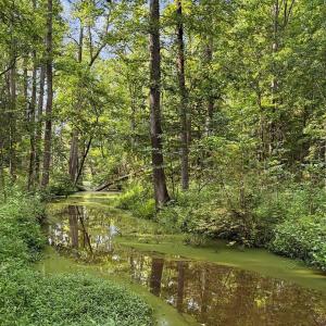 047-RidgevilleRd-HickoryLevelFarm-Revisi