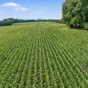 027-RidgevilleRd-HickoryLevelFarm-Revisi