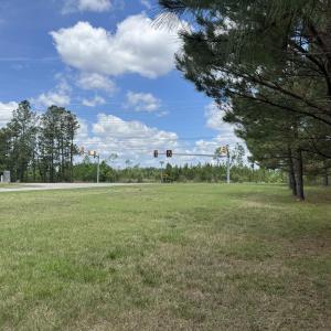 18.5 ac - Sherron Rd. view along Norther