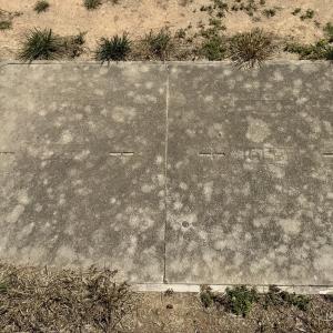 18.5 acres - Sherron Rd. - Fiber vault