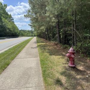 18.5 acres Sherron Rd. - Sidewalk and Pu