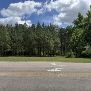 18.5 acres Sherron Rd. - View from Sherr