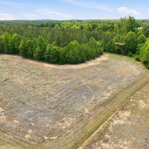 12-web-or-mls-DJI_0717