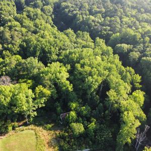 Photo #17 of 515 Central, Clayton, NC 5.9 acres