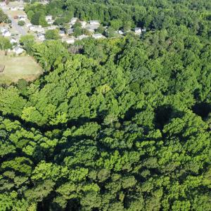 Photo #16 of 515 Central, Clayton, NC 5.9 acres