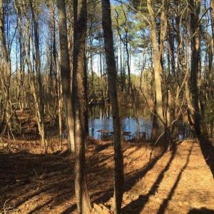 Photo #6 of 586 Shade Tree, Benson, NC 4.5 acres