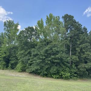 Photo #7 of 586 Shade Tree, Benson, NC 4.5 acres