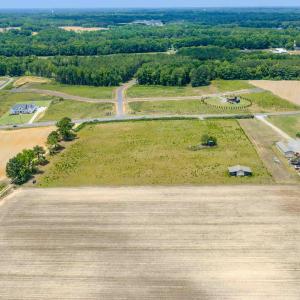 Young - Old Stage Rd. -5