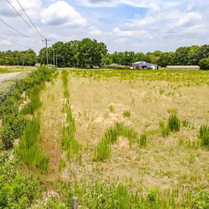 Young - Old Stage Rd. -13