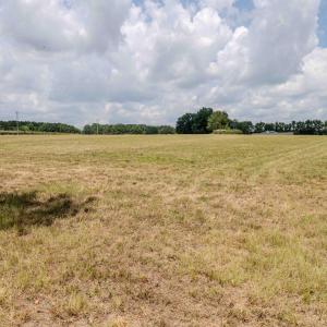 Photo #25 of Old Stage, Willow Springs, NC 6.4 acres