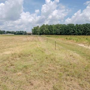 Photo #26 of Old Stage, Willow Springs, NC 6.4 acres