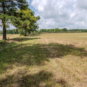 Photo #32 of Old Stage, Willow Springs, NC 6.4 acres