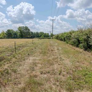 Photo #33 of Old Stage, Willow Springs, NC 6.4 acres