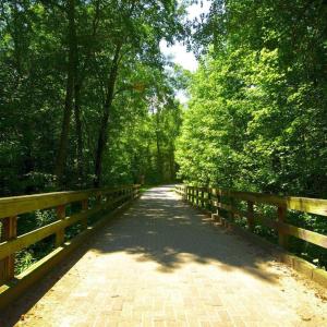 Belmont Lake Preserve Trail