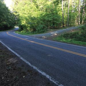Photo #6 of 6810 Sawyer, Liberty, NC 11.4 acres