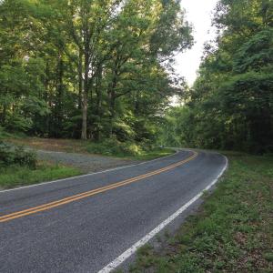 Photo #5 of 6810 Sawyer, Liberty, NC 11.4 acres