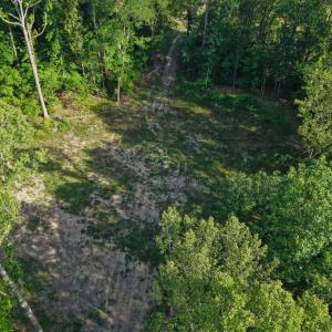 Photo #15 of 6810 Sawyer, Liberty, NC 11.4 acres