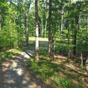 Photo #10 of 6810 Sawyer, Liberty, NC 11.4 acres