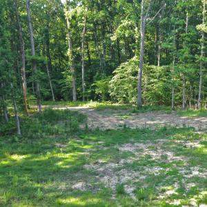 Photo #12 of 6810 Sawyer, Liberty, NC 11.4 acres