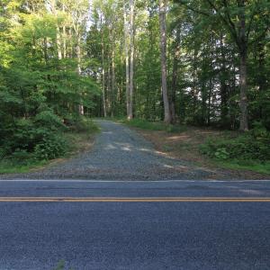 Photo #8 of 6810 Sawyer, Liberty, NC 11.4 acres