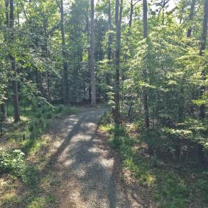 Photo #9 of 6810 Sawyer, Liberty, NC 11.4 acres